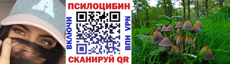 darknet как зайти  ОМГ ОМГ tor  Галлюциногенные грибы Cubensis  Кузнецк  сколько стоит 